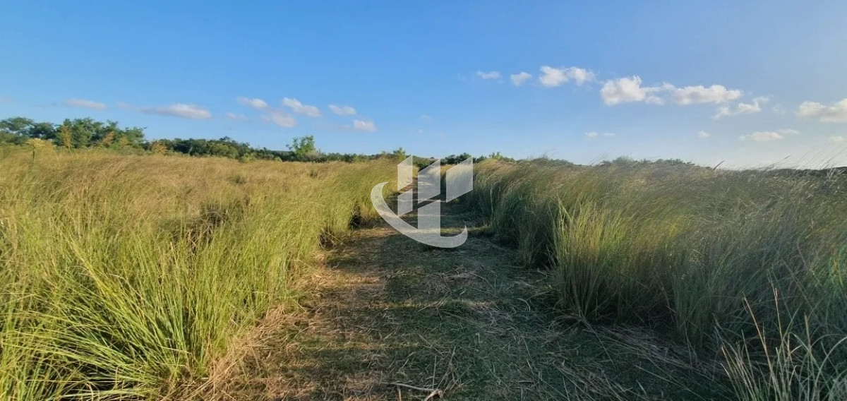 Campo Ref.1431 - GARZON CAMPO DE 38 HECTAREAS CON CASA 