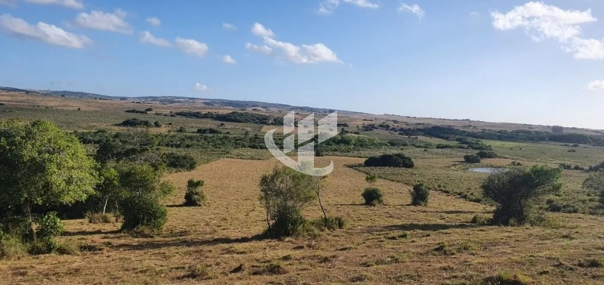 Campo Ref.1431 - GARZON CAMPO DE 38 HECTAREAS CON CASA 