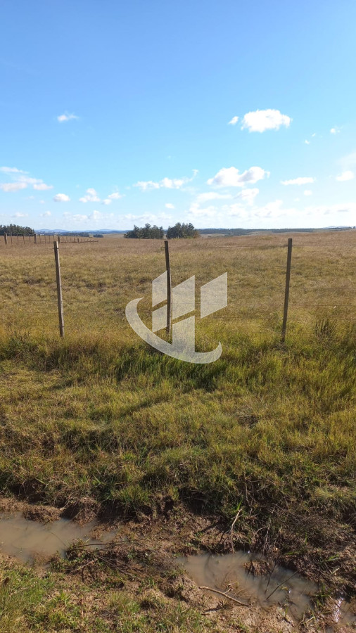 Campo Ref.1183 - VENDO