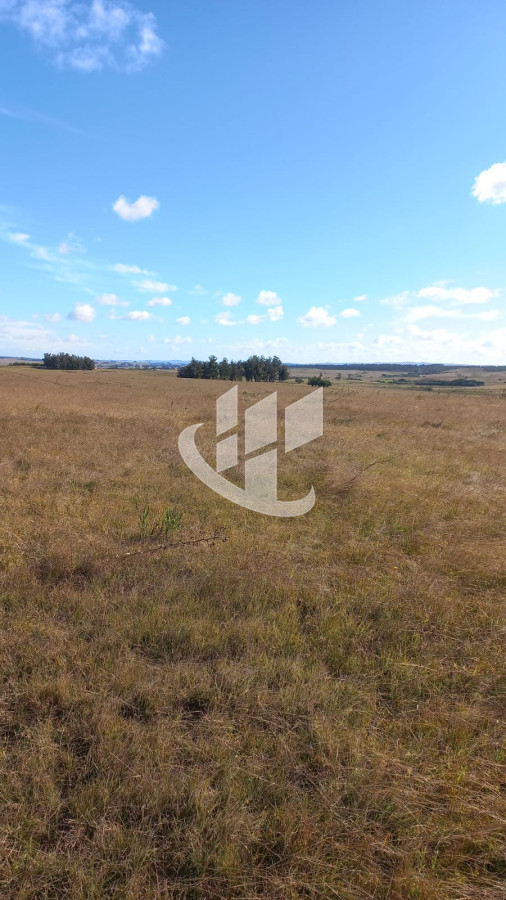 Campo Ref.1183 - VENDO