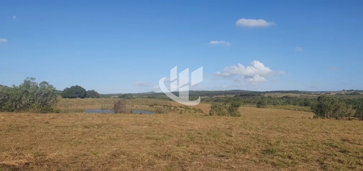 Campo Ref.1431 - GARZON CAMPO DE 38 HECTAREAS CON CASA 