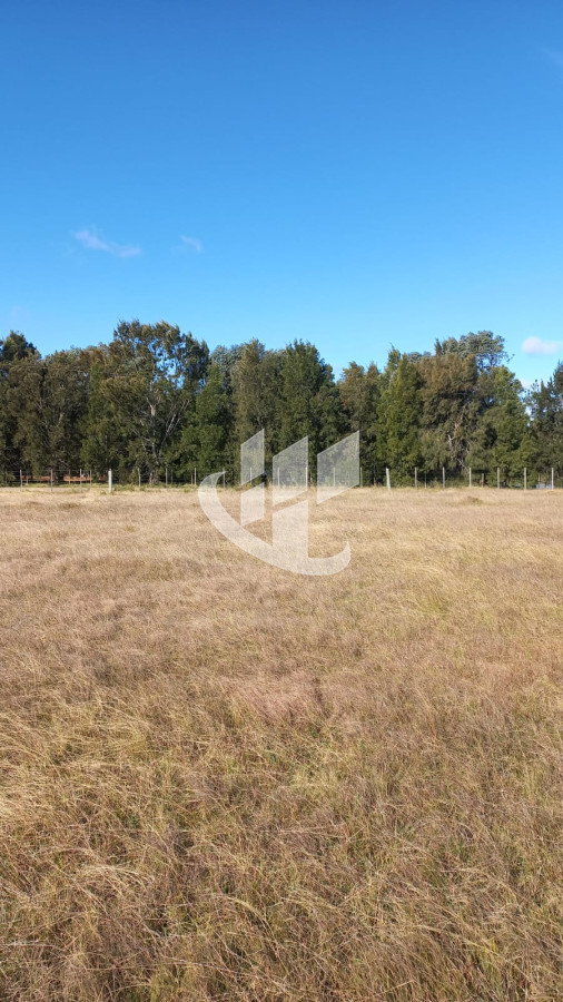Campo Ref.1183 - VENDO