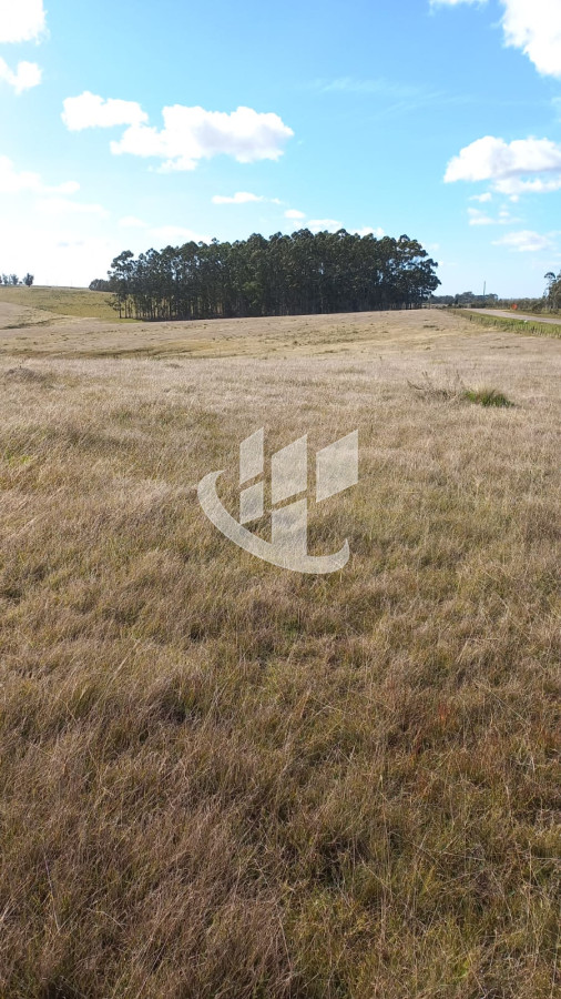 Campo Ref.1183 - VENDO
