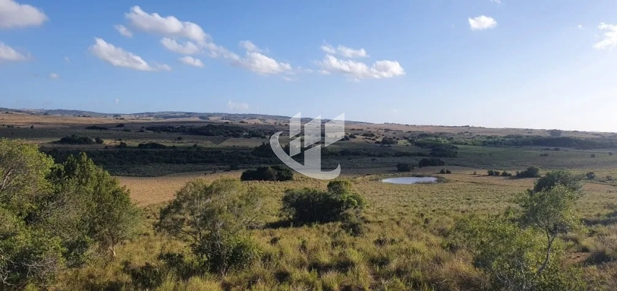 Campo Ref.1431 - GARZON CAMPO DE 38 HECTAREAS CON CASA 