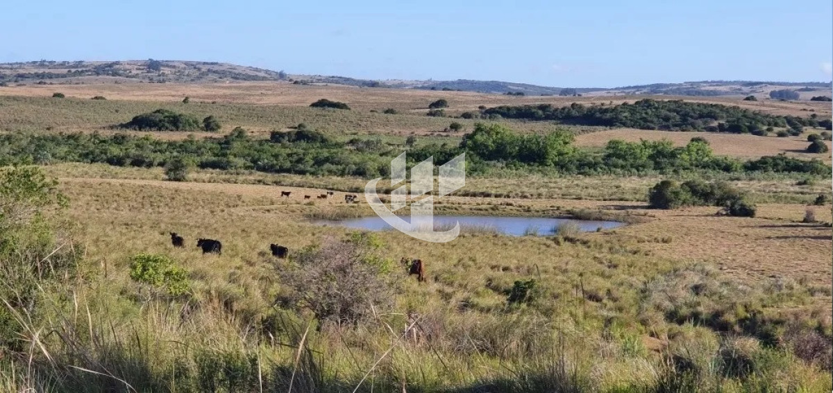 Campo Ref.1431 - GARZON CAMPO DE 38 HECTAREAS CON CASA 