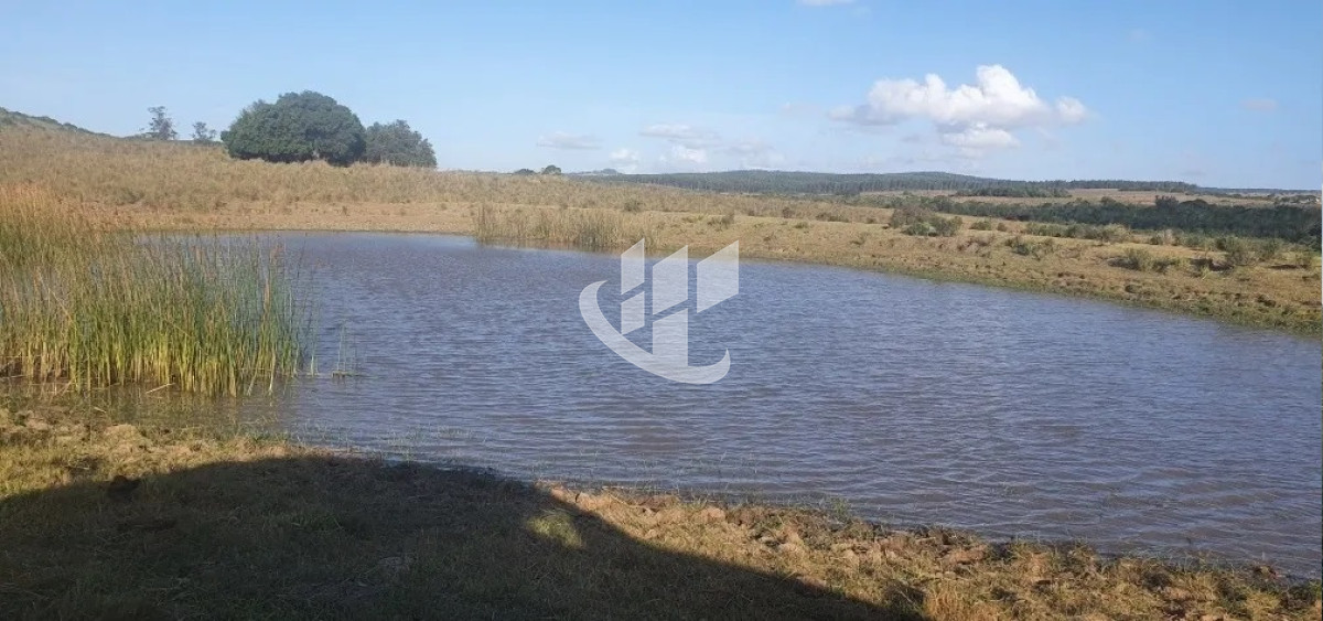 Campo Ref.1431 - GARZON CAMPO DE 38 HECTAREAS CON CASA 