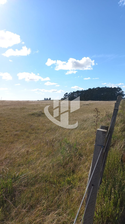 Campo Ref.1183 - VENDO