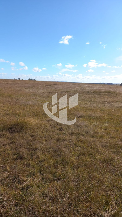 Campo Ref.1183 - VENDO