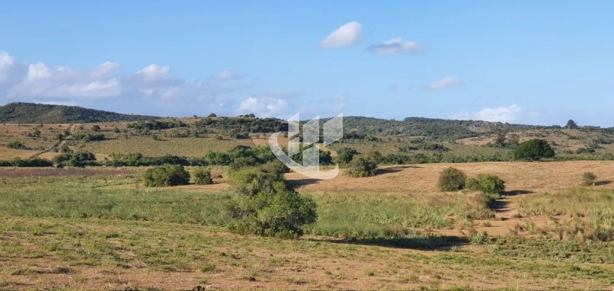 Campo Ref.1431 - GARZON CAMPO DE 38 HECTAREAS CON CASA 