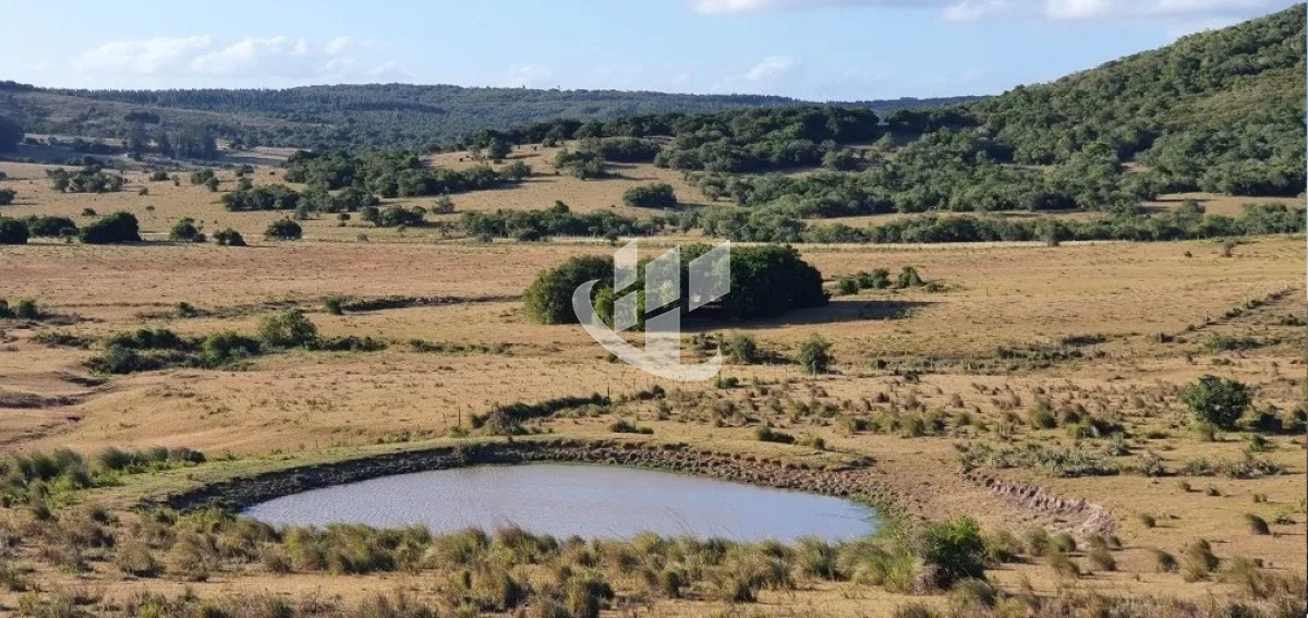 Campo Ref.1431 - GARZON CAMPO DE 38 HECTAREAS CON CASA 
