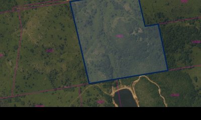 Venta campo con vistas a los cerros y monte nativo, Pueblo Eden, Maldonado