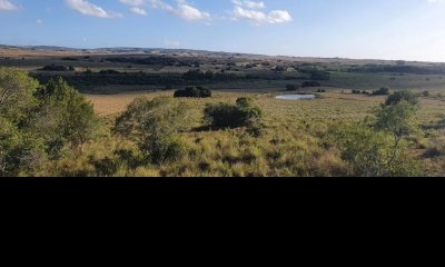 GARZON CAMPO DE 38 HECTAREAS CON CASA