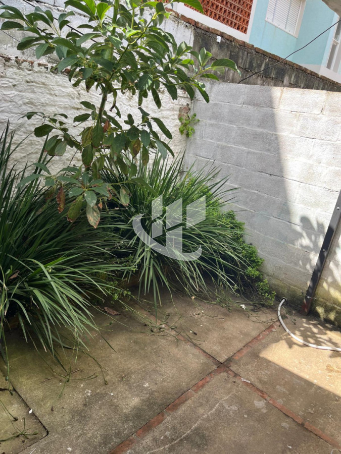 Local Comercial ID.2524 - PUNTA DEL ESTE PENINSULA LOCAL COMERCIAL EN ALQUILER