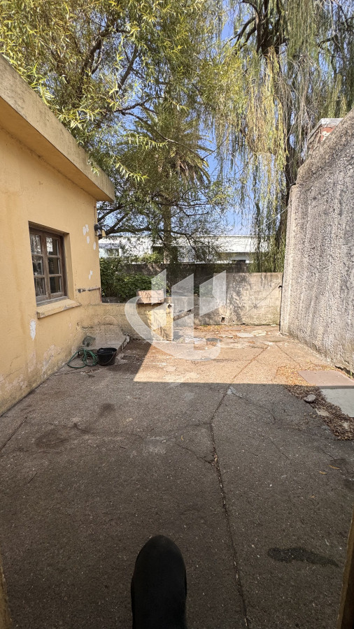 Local Comercial ID.1729 - Local con dos casas.