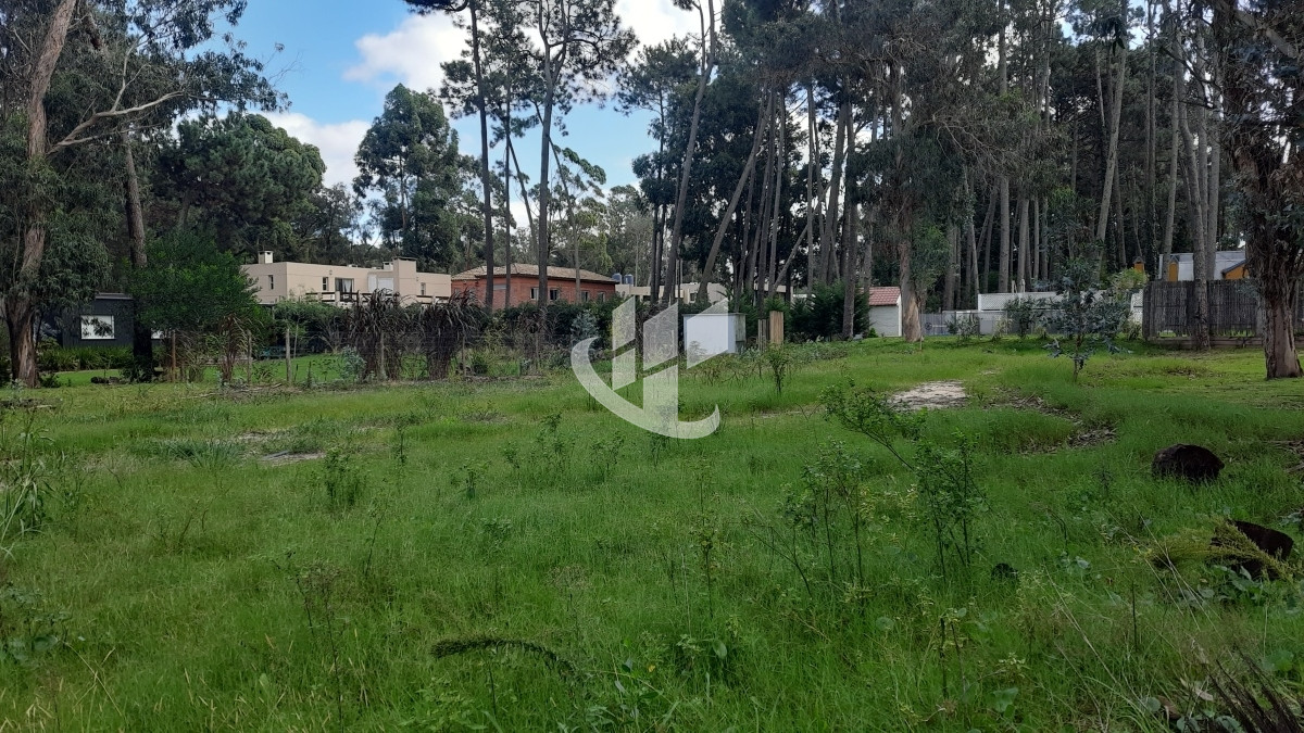 Terreno ID.1292 - Venta terreno, Solanas, Punta Ballena