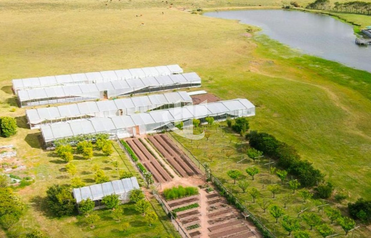 Terreno ID.107 - Venta de lotes en barrio privado a 5 min de Jose Ignacio 