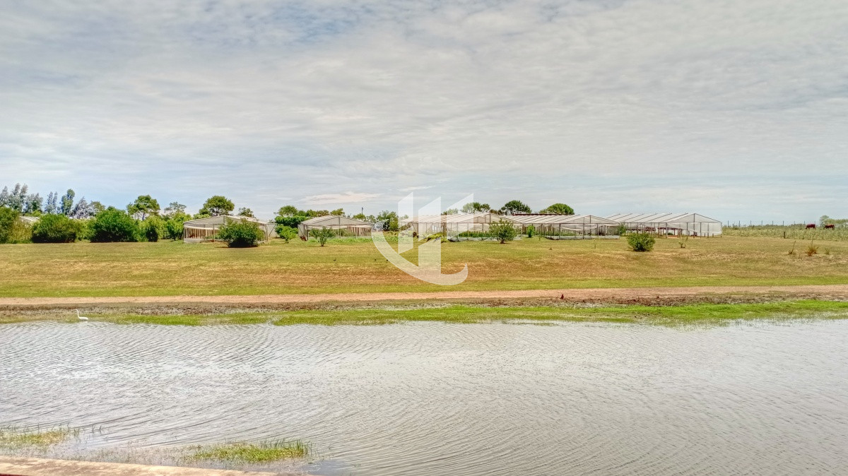 Terreno ID.107 - Venta de lotes en barrio privado a 5 min de Jose Ignacio 