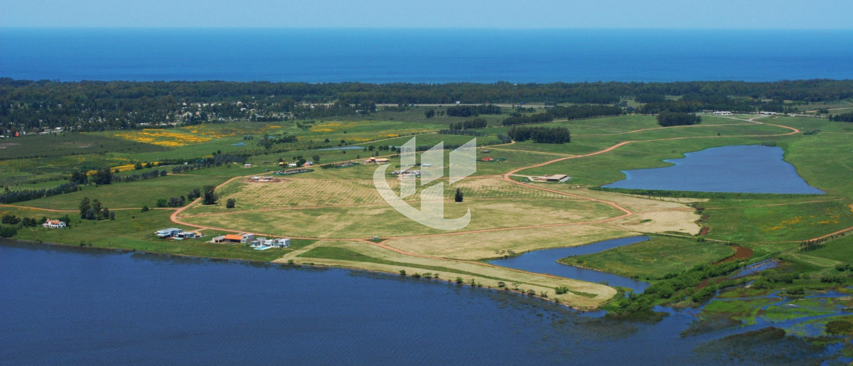 Terreno ID.2386 - PUNTA DEL ESTE - LAGUNA DE LOS CISNES