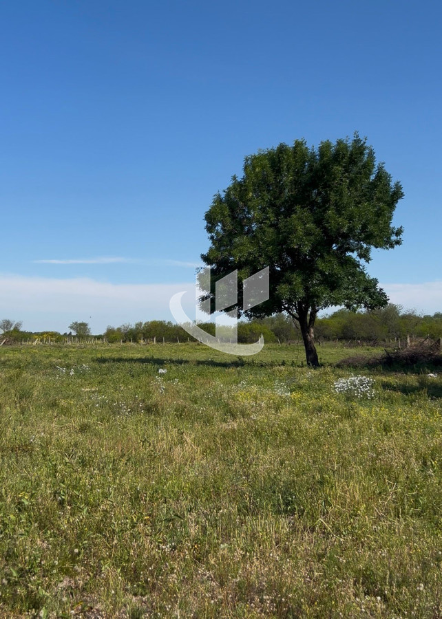 Terreno ID.2272 - Terrenos en Venta en Lomas de Carmelo, Colonia