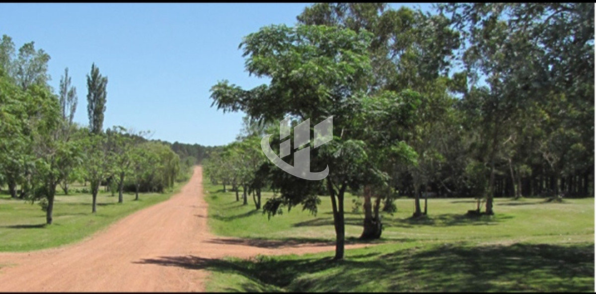 Terreno ID.2254 - PUNTA BALLENA CNO LUSSICH TERRENOS DE 2000 M2 EN VENTA!!!