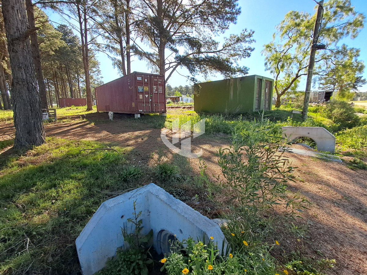 Terreno ID.2254 - PUNTA BALLENA CNO LUSSICH TERRENOS DE 2000 M2 EN VENTA!!!