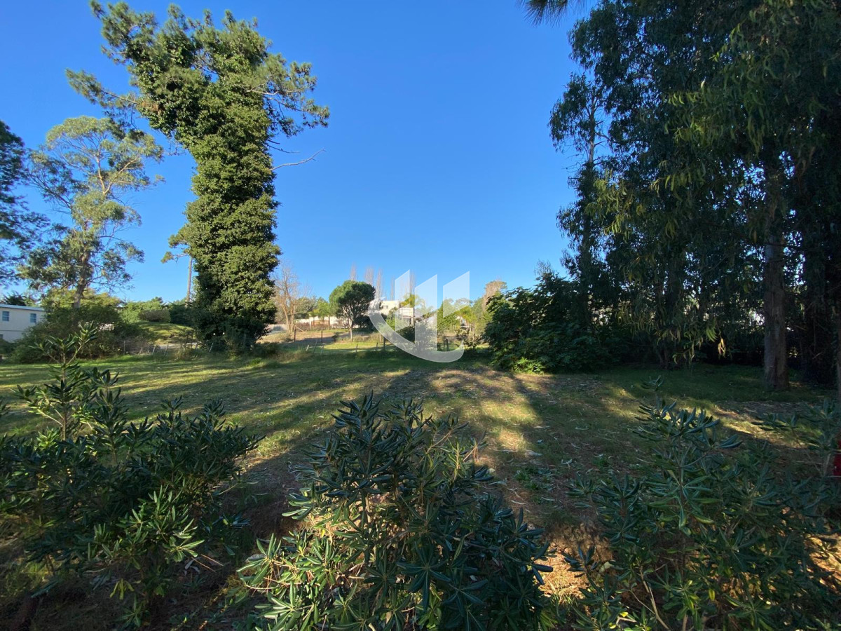Terreno ID.1303 - LOTE EN VENTA EN LA RESIDENCE BARRIO PRIVADO, Punta del Este 