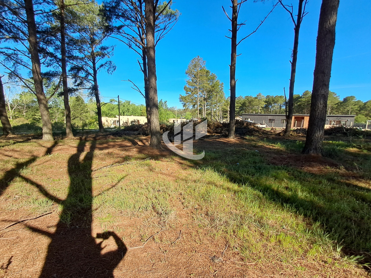 Terreno ID.2254 - PUNTA BALLENA CNO LUSSICH TERRENOS DE 2000 M2 EN VENTA!!!