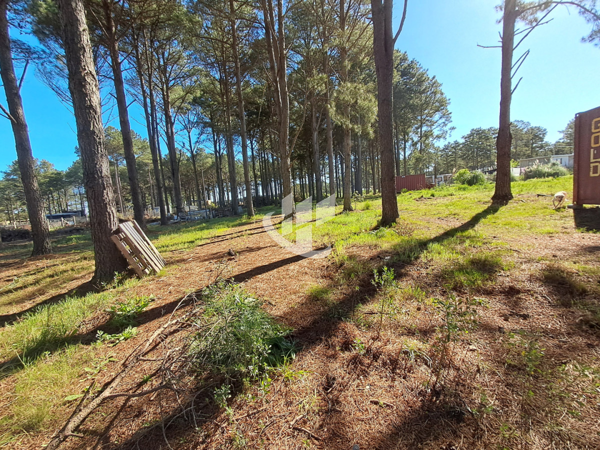 Terreno ID.2254 - PUNTA BALLENA CNO LUSSICH TERRENOS DE 2000 M2 EN VENTA!!!