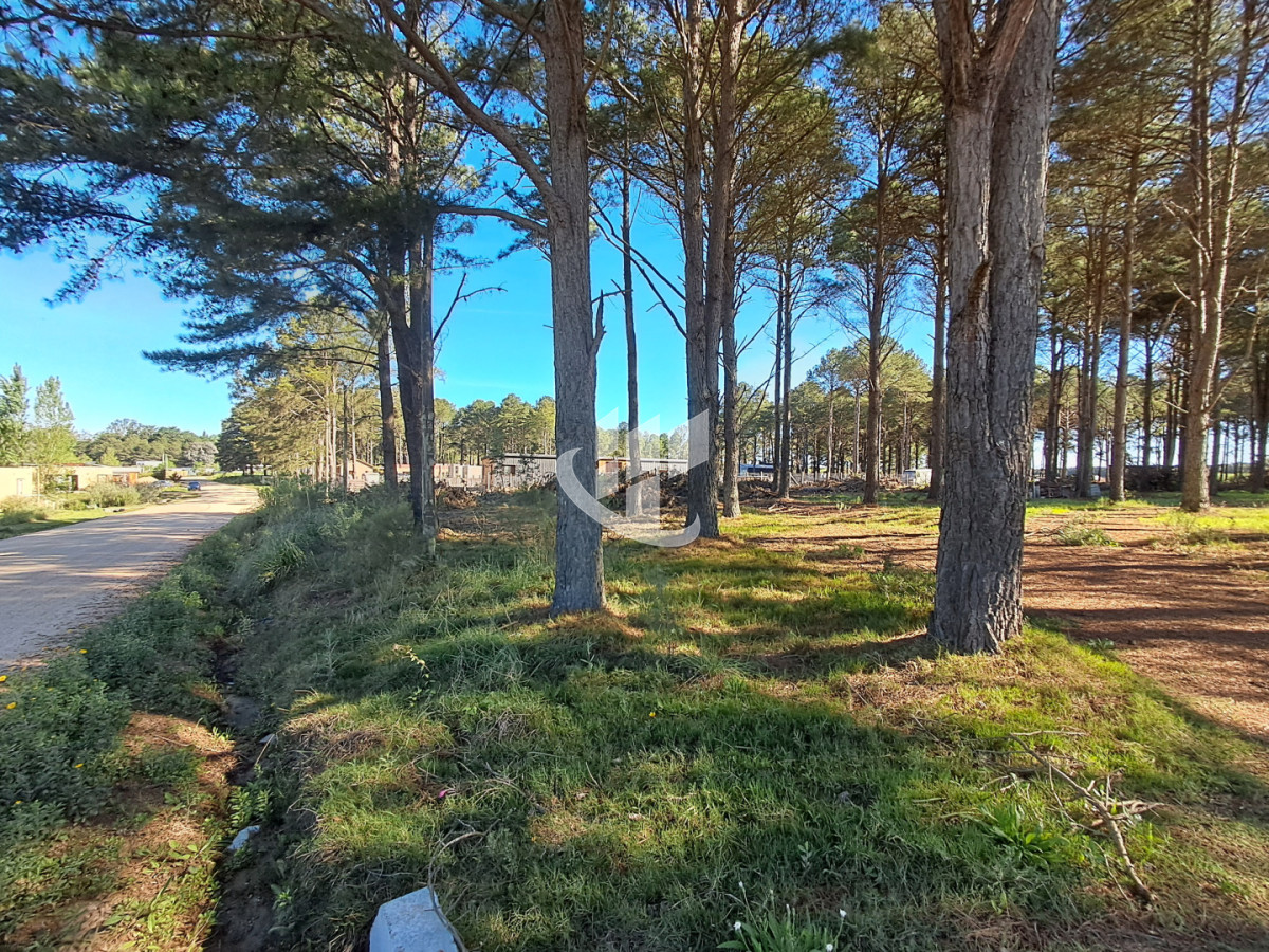 Terreno ID.2254 - PUNTA BALLENA CNO LUSSICH TERRENOS DE 2000 M2 EN VENTA!!!