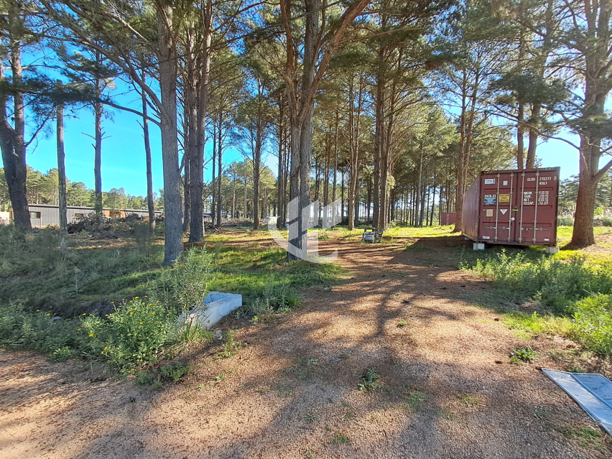 Terreno ID.2254 - PUNTA BALLENA CNO LUSSICH TERRENOS DE 2000 M2 EN VENTA!!!