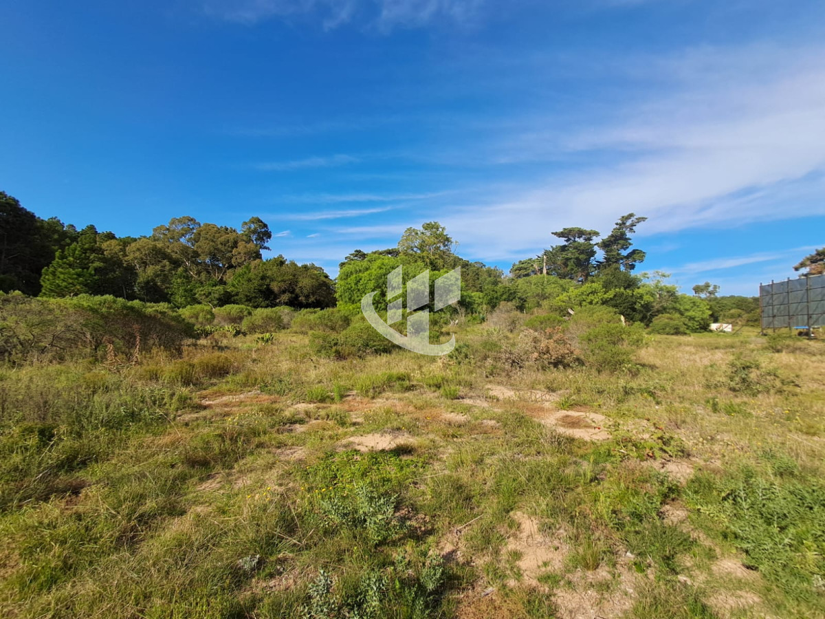 Terreno ID.1788 - PUNTA DEL ESTE LAS GRUTAS SOBRE RUTA IB EN VENTA TERRENO DE 8025 M2