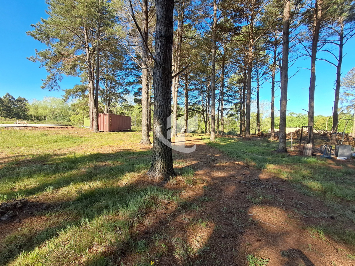 Terreno ID.2254 - PUNTA BALLENA CNO LUSSICH TERRENOS DE 2000 M2 EN VENTA!!!