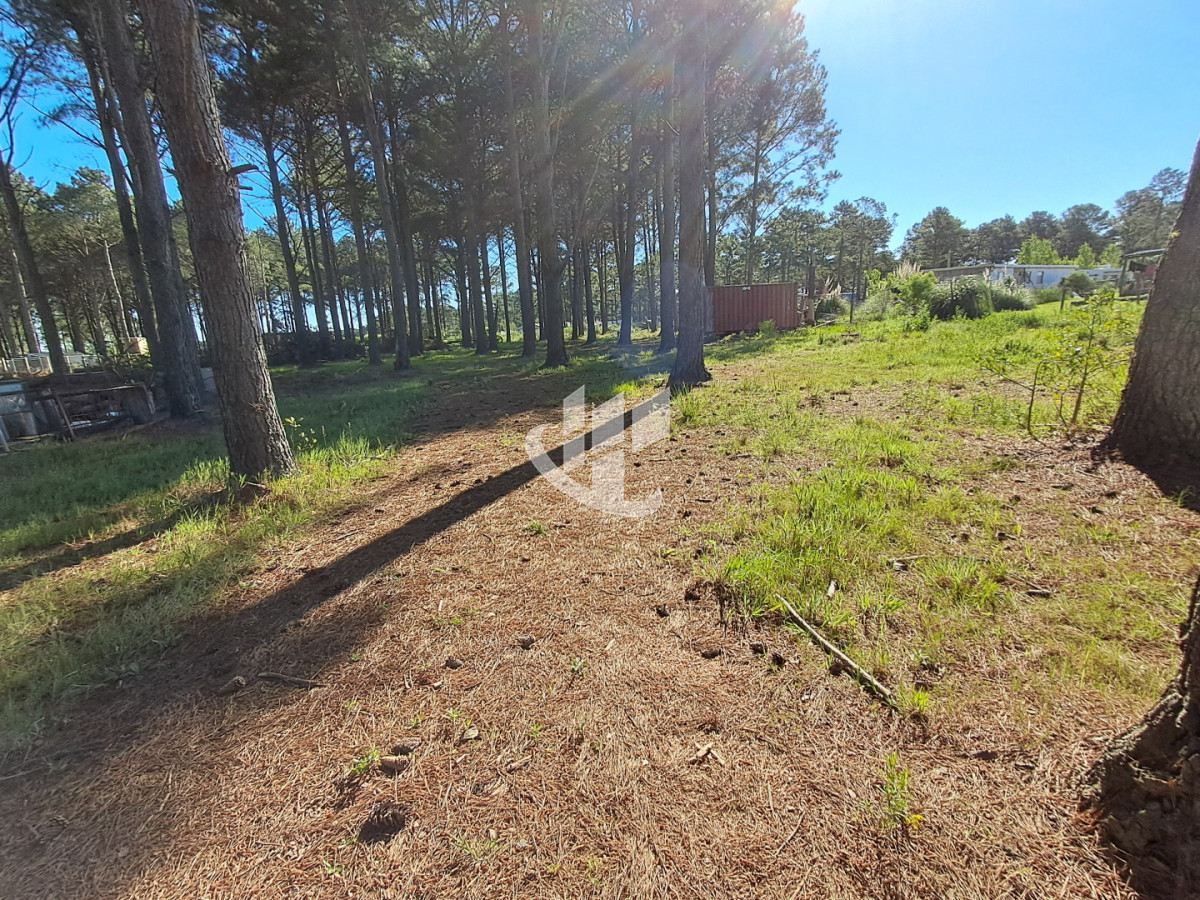 Terreno ID.2254 - PUNTA BALLENA CNO LUSSICH TERRENOS DE 2000 M2 EN VENTA!!!