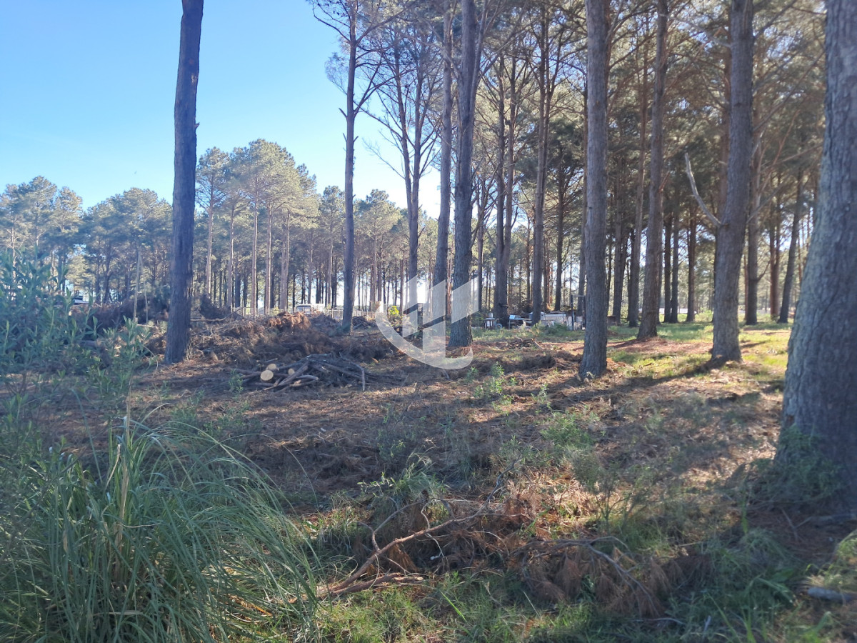 Terreno ID.2254 - PUNTA BALLENA CNO LUSSICH TERRENOS DE 2000 M2 EN VENTA!!!