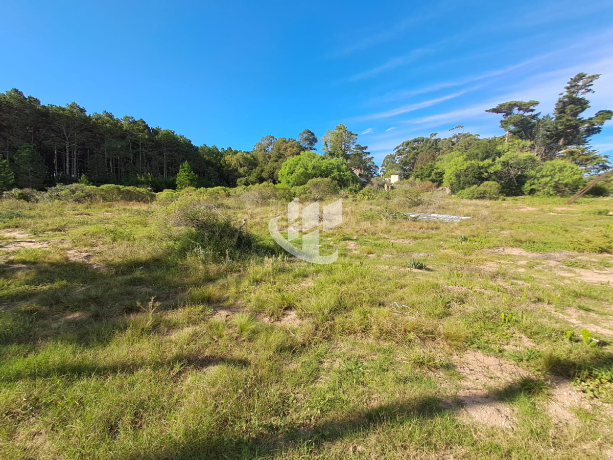 Terreno ID.1788 - PUNTA DEL ESTE LAS GRUTAS SOBRE RUTA IB EN VENTA TERRENO DE 8025 M2