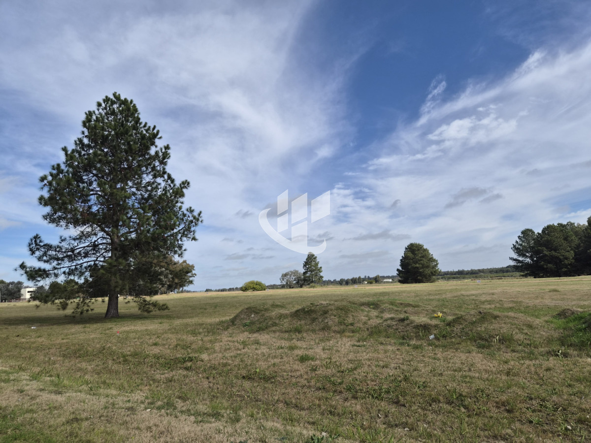 Terreno ID.2835 - TERRENO EN PARALELA A RUTA Nº2