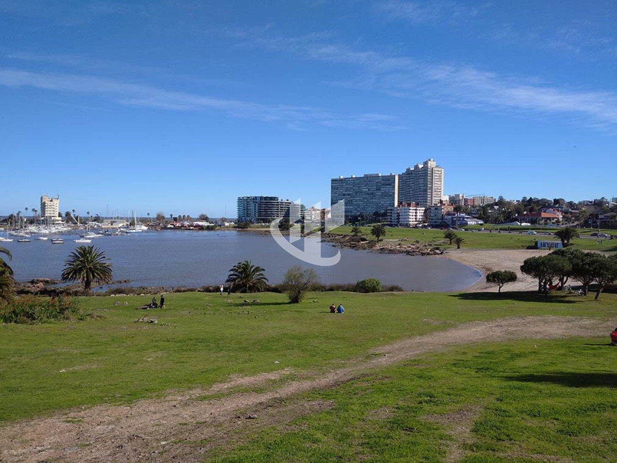 Apartamento ID.2517 - Venta Apartamento 1 Dormitorio con Balcón y Vista a la Rambla, Buceo