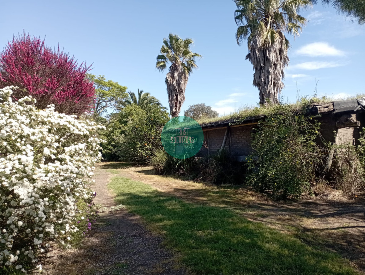 Casa ID.1858 - Venta Casa de campo en Colonia a pasos de la plaza de toro