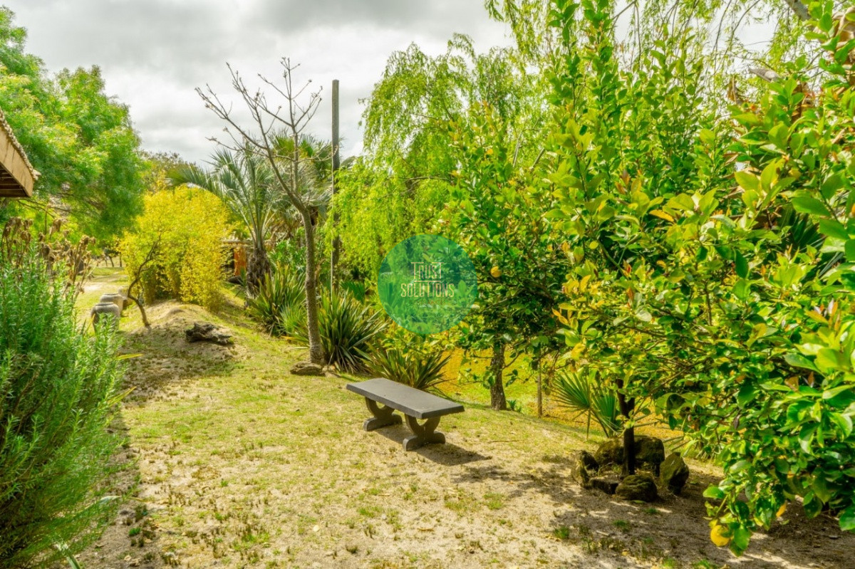 Chacra ID.462 - Venta y Alquiler Temporada Chacra 5D José Ignacio con 5 has 