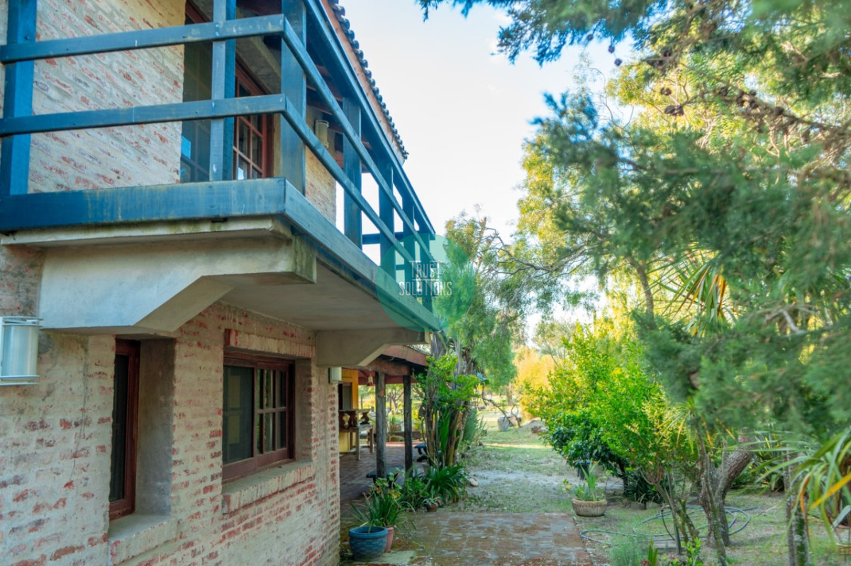 Chacra ID.462 - Venta y Alquiler Temporada Chacra 5D José Ignacio con 5 has 