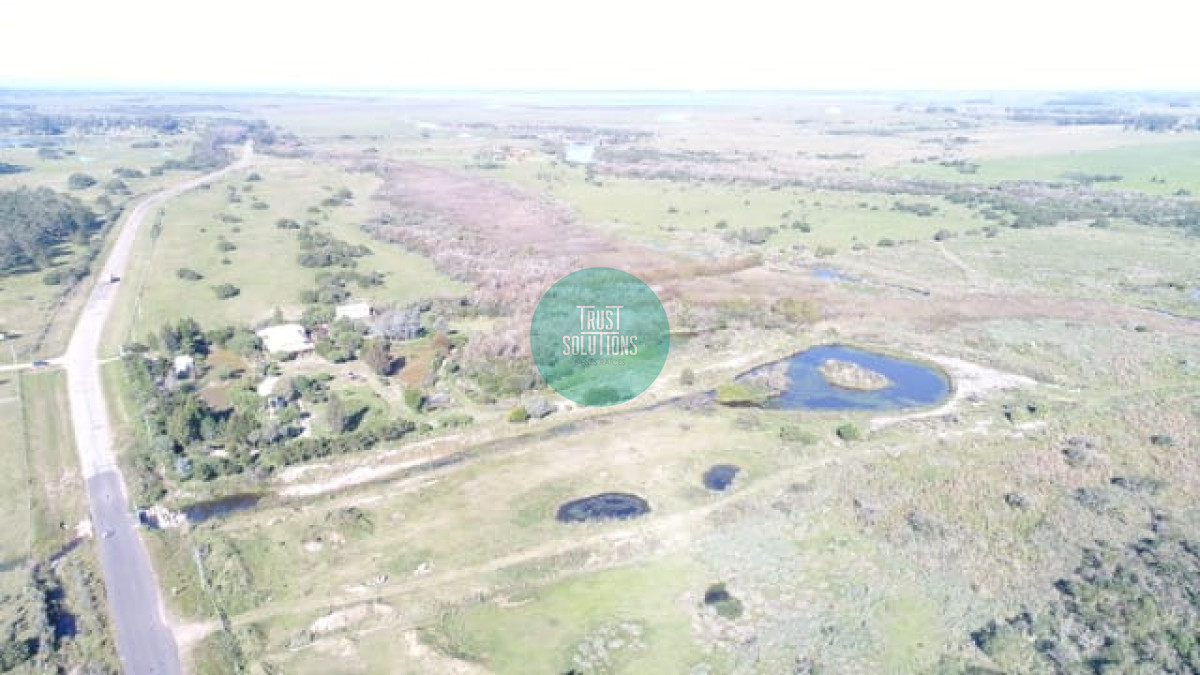 Chacra ID.462 - Venta y Alquiler Temporada Chacra 5D José Ignacio con 5 has 