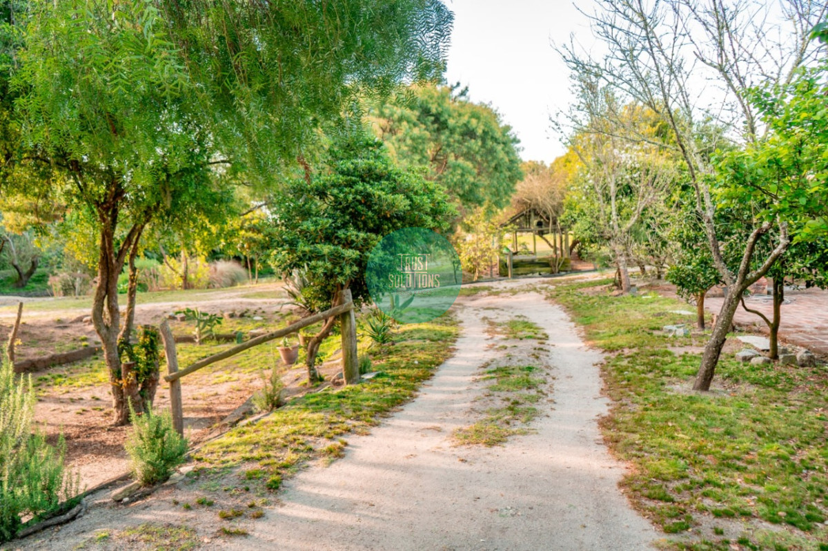 Chacra ID.462 - Venta y Alquiler Temporada Chacra 5D José Ignacio con 5 has 