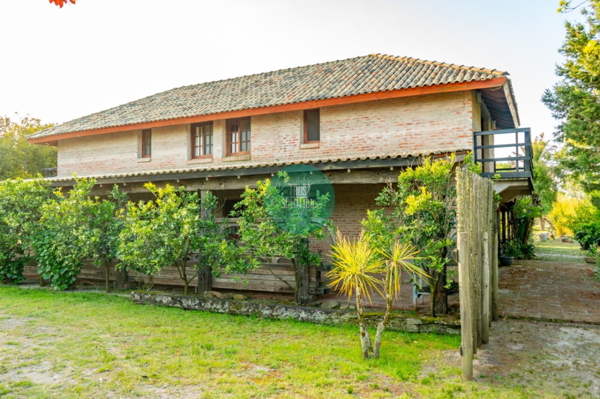 Chacra ID.462 - Venta y Alquiler Temporada Chacra 5D José Ignacio con 5 has 