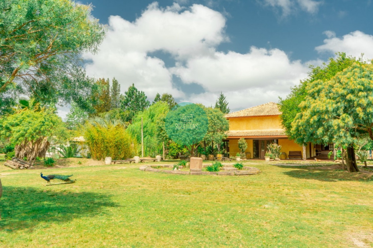 Chacra ID.462 - Venta y Alquiler Temporada Chacra 5D José Ignacio con 5 has 