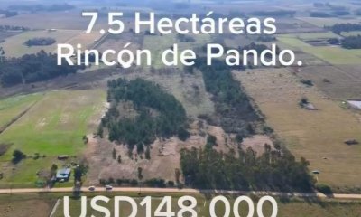 HERMOSA CHACRA DE 7,5 HECTÁREAS EN VENTA EN EXCELENTE UBICACIÓN DE RINCÓN DE PANDO