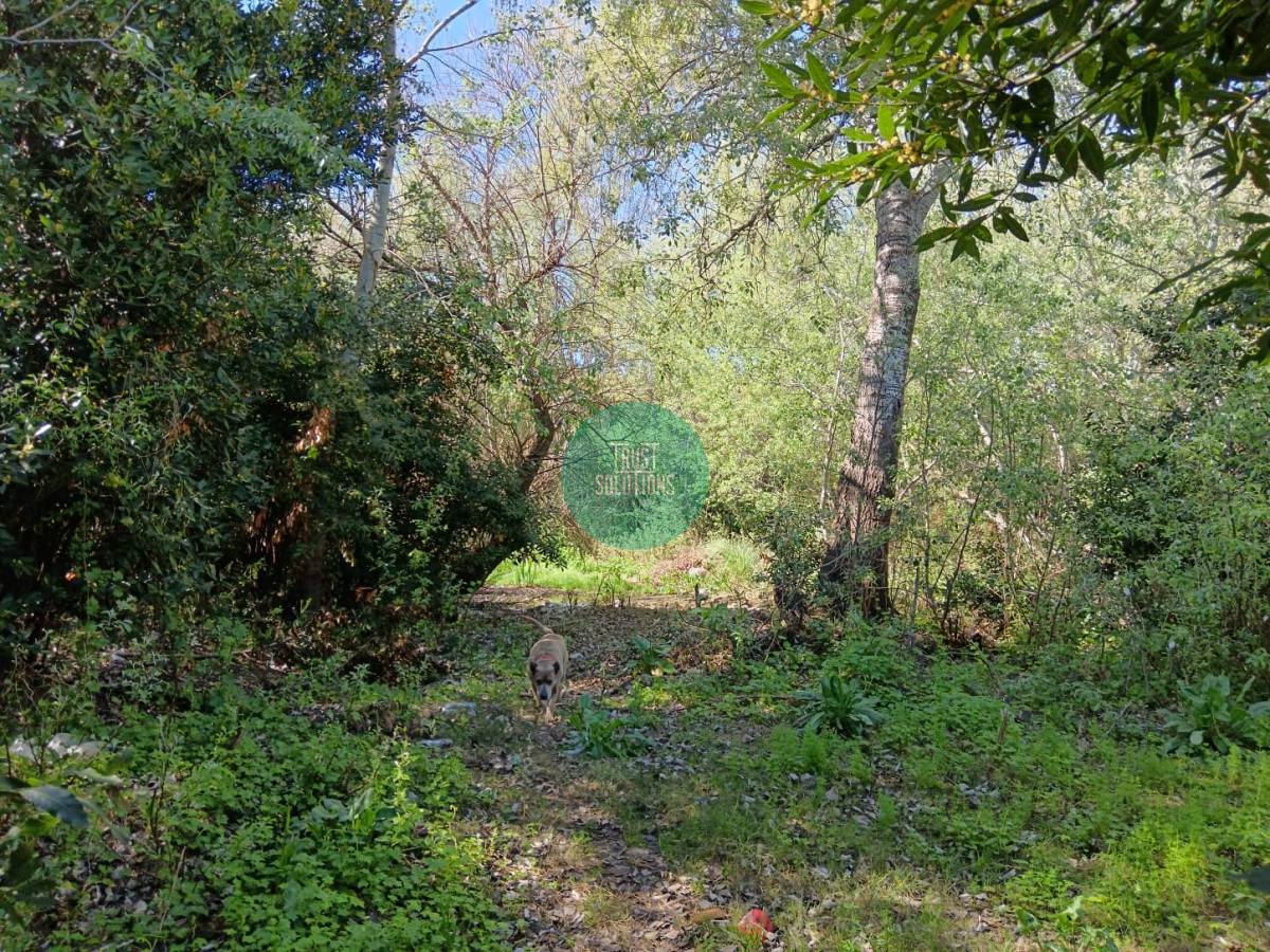 Terreno ID.1417 - VENTA CASA PH CON TERRENO DE 2800M2 EN SALDUN A METROS DEL PORTONES SHOPPING 