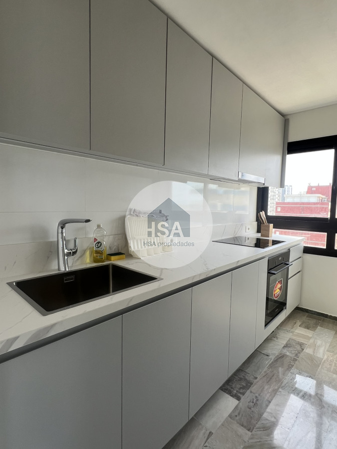 Apartamento ID.421 - Alquiler de tres dormitorios en Torre Parquemar Center