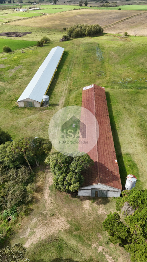 Chacra ID.565 - Chacra en Venta Progreso