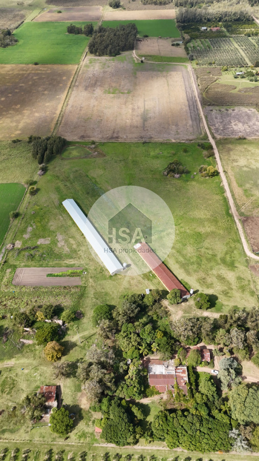 Chacra ID.565 - Chacra en Venta Progreso