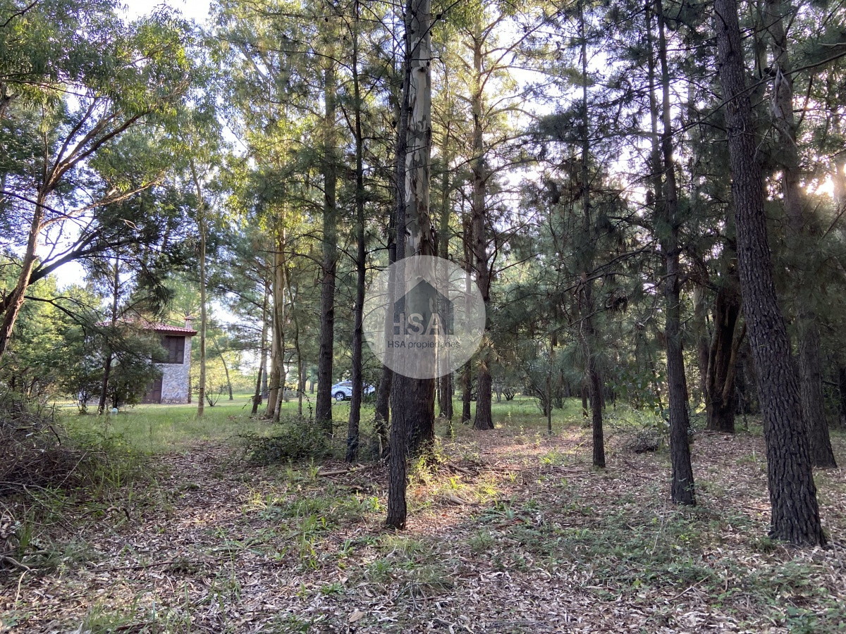 Chacra ID.168 - Chacra en venta Canelones